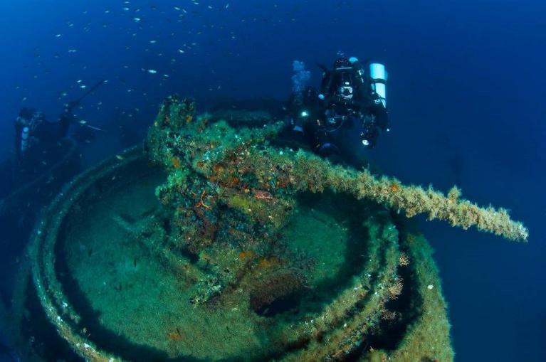 ponza immersioni