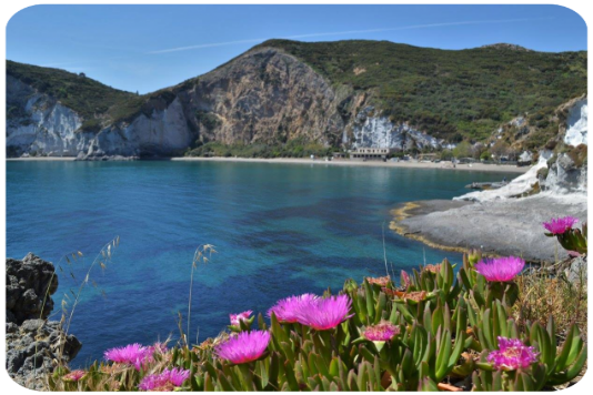 Ponza, L'Isolana, Frontone Ponza, L'Isolana, Frontone