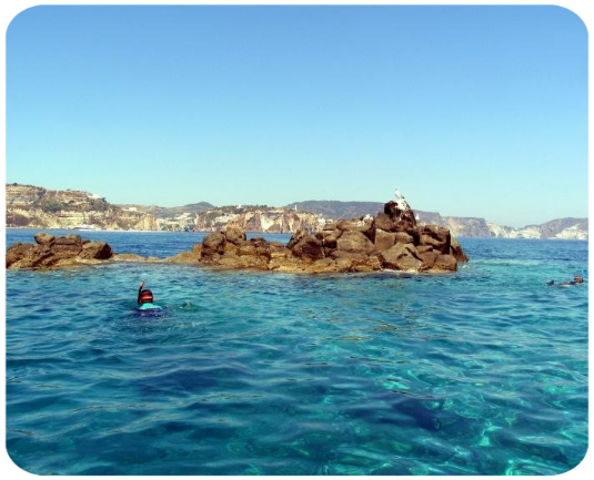 Ponza. L'Isolana, le formiche Ponza. L'Isolana, le formiche